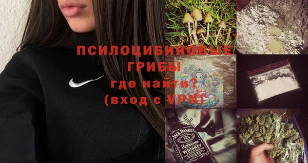 гашик Белоозёрский
